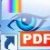 PDF