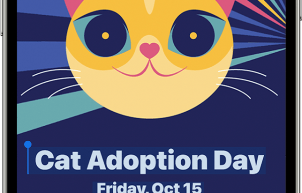 Texte en direct / Live text