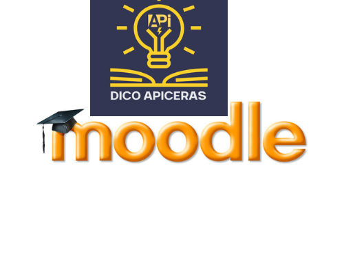 Formation Dico APIceras